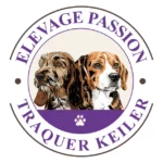Hervochon Elevage Passion Traqueur Keiler Elevage Beagle En Haute Vienne HERVOCHON JEAN PAUL Logo 2 Final 1