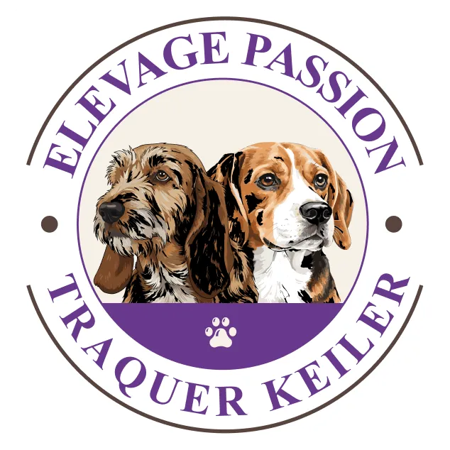Hervochon Elevage Passion Traqueur Keiler Elevage Beagle En Haute Vienne HERVOCHON JEAN PAUL Logo 2 Final 1